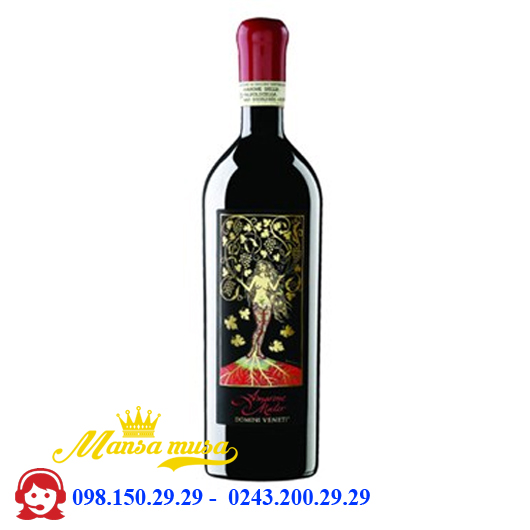 Rượu bia ngoại