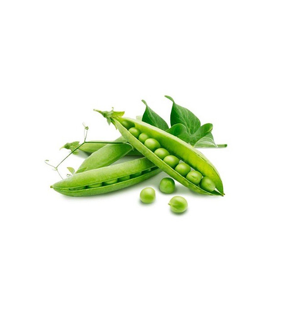 Rượu bia ngoại