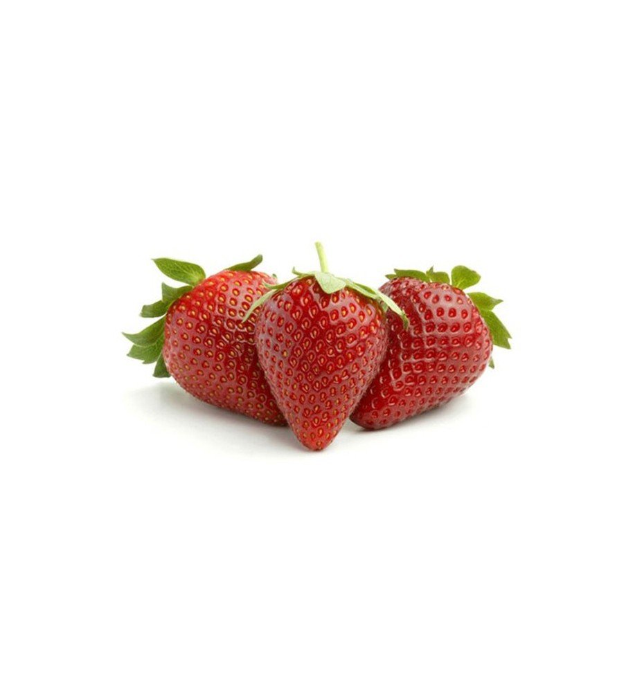 Rượu bia ngoại