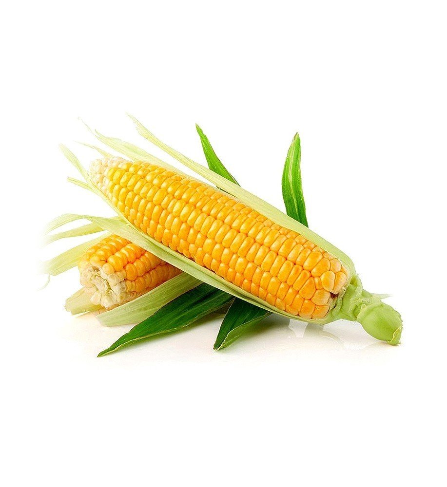 Rượu bia ngoại