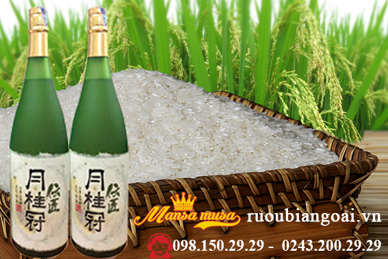 Rượu bia ngoại