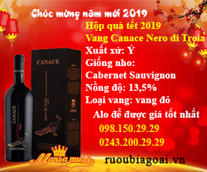 Rượu bia ngoại
