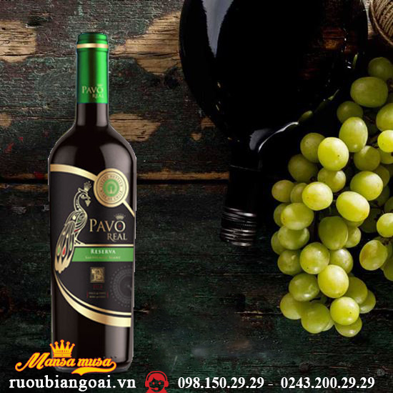 Rượu bia ngoại