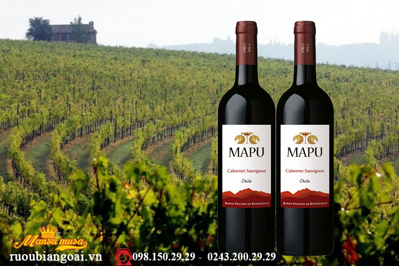 Rượu Mapu Cabernet Sauvignon mua 6 tặng 1