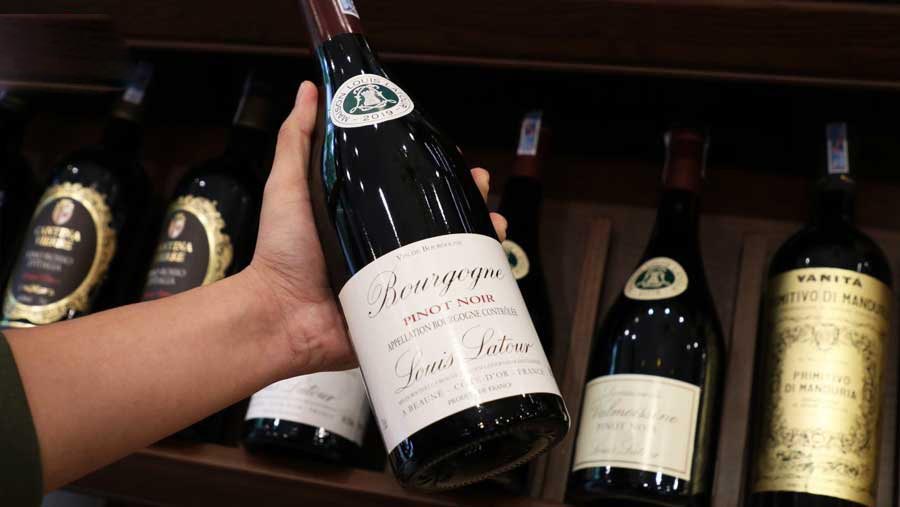 Rượu Vang Moillard Bourgogne Pinot Noir