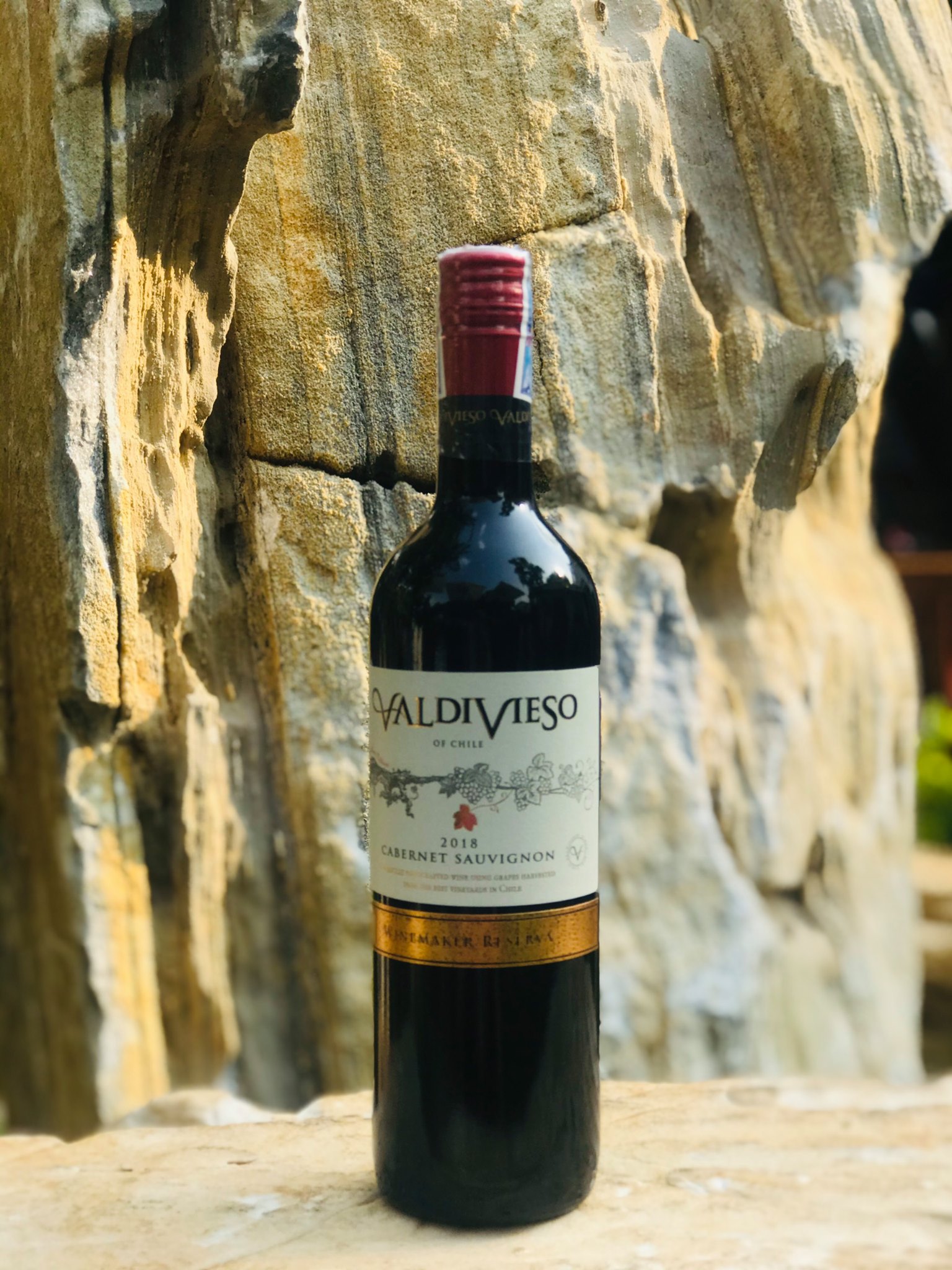 Rượu vang đỏ valdivieso winemaker reserva-1