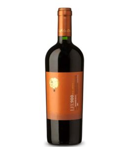 Rượu vang Chi Lê Luis Felipe Edwards LFE900 Malbec