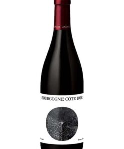 Rượu vang trắng LOUIS JADOT BOURGOGNE COTE D'OR
