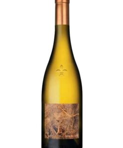 Rượu vang trắng DOMAINE LUNEAU PAPIN TERRE DE PIERRE VIEILLES VIGNES