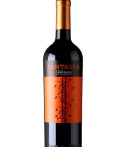 Rượu vang đỏ CANTAGUA CARMENERE