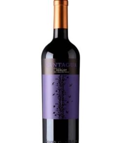 Rượu vang đỏ CANTAGUA MERLOT