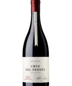 RƯỢU VANG ĐỎ CRUZ DEL PENDON