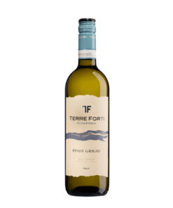 Rượu Vang Ý Terre Forti Pinot Griggio