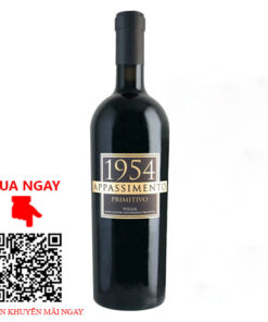 Vang Ý 1954 Appassimento Primitivo Puglia