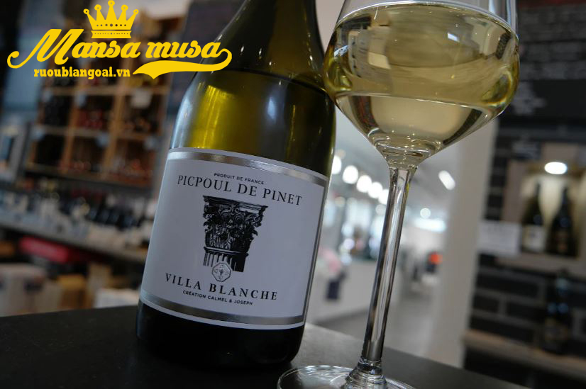 Rượu Vang Pháp Villa Blanche Picpoul Pinet