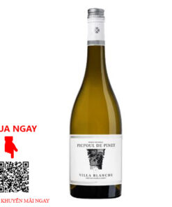 Rượu Vang Pháp Villa Blanche Picpoul Pinet