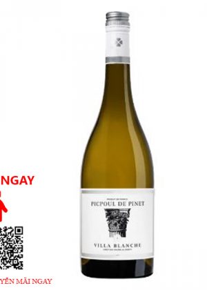 Rượu Vang Pháp Villa Blanche Picpoul Pinet