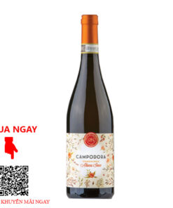 Rượu Vang Ý Campodora Romagna Albana Secco