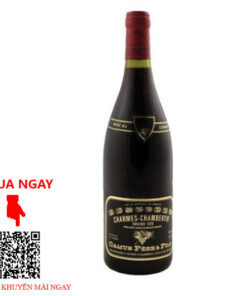 Rượu Vang Pháp Chambertin Charmes Grand Cru 2018
