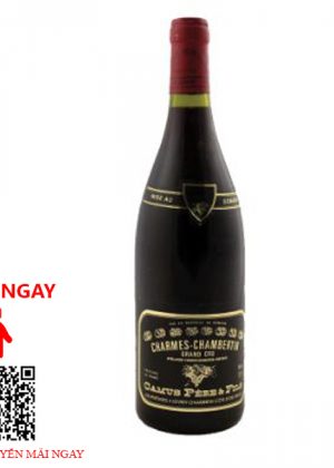 Rượu Vang Pháp Chambertin Charmes Grand Cru 2018