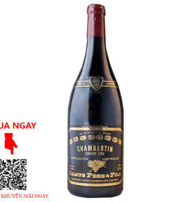 Rượu Vang Pháp Chambertin Grand Cru 2017