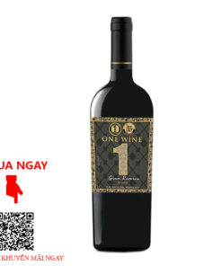 Rượu Vang Chile One Wine Gran Reserva Syrah