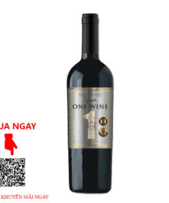 Rượu Vang Chile One Wine Family Reserva Syrah