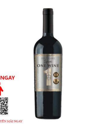 Rượu Vang Chile One Wine Family Reserva Syrah