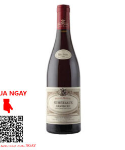 Rượu Vang Pháp Echezeaux Grand Cru Domaine Seguin-Manuel