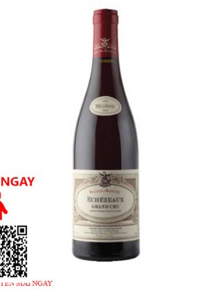 Rượu Vang Pháp Echezeaux Grand Cru Domaine Seguin-Manuel