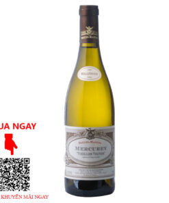 Rượu Vang Pháp Mercurey "Vieilles Vignes" Domaine Seguin-Manuel