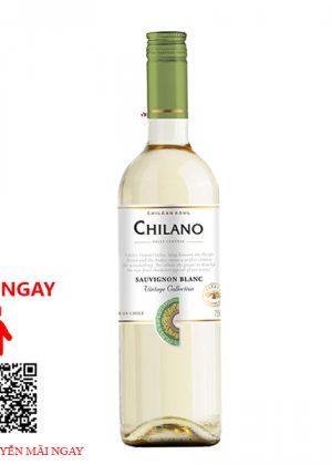 Rượu Vang Chile Chilano Sauvignon Blanc