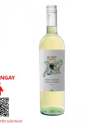 Rượu Vang Ý Rube Pinot Grigio Terre di Chieti IGT