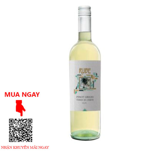 Rượu Vang Ý Rube Pinot Grigio Terre di Chieti IGT