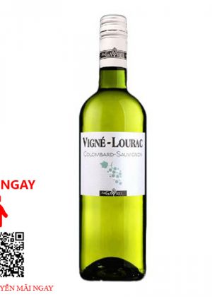 Rượu Vang Pháp Vigne-Lourac-Blanc Domaine Gayrel