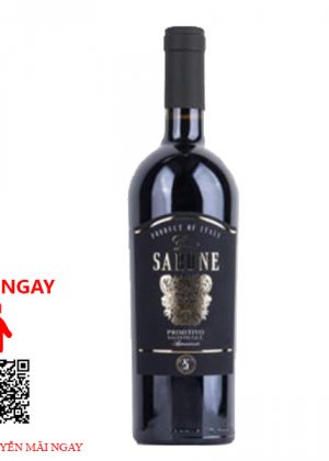 Rượu Vang Ý Gran Sarone Primitivo Salento Appassimento