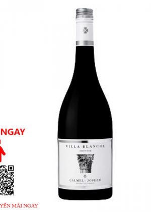 Rượu Vang Pháp Villa Blanche Pinot Noir