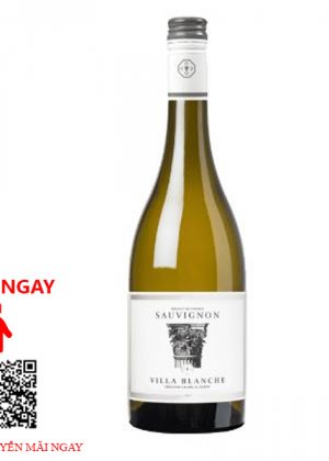 Rượu Vang Pháp Villa Blanche Sauvignon Blanc