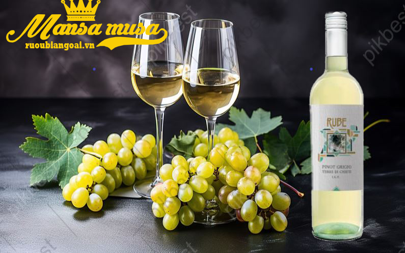 Rượu Vang Ý Rube Pinot Grigio Terre di Chieti IGT