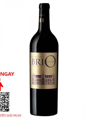 Rượu Vang Pháp BriO de Cantenac Brown Margaux 2016