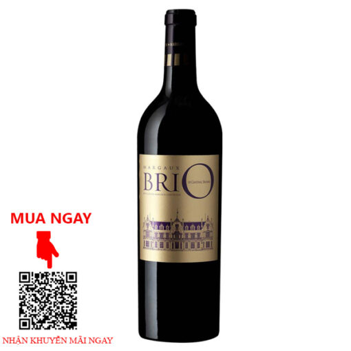 Rượu Vang Pháp BriO de Cantenac Brown Margaux 2016