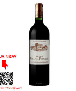 Rượu Vang Pháp Grand Pontet 2011