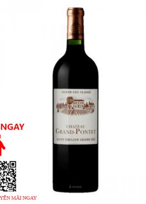 Rượu Vang Pháp Grand Pontet 2011