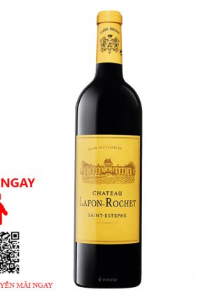 Rượu Vang Pháp Chateau Lafon Rochet 2013