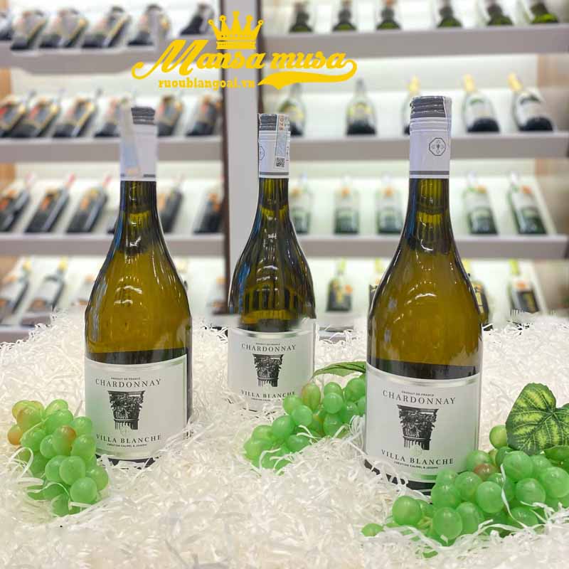 Rượu Vang Pháp Villa Blanche Chardonnay