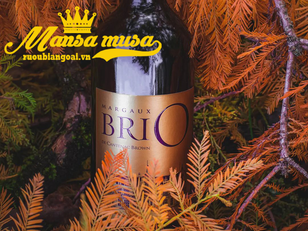 Rượu Vang Pháp BriO de Cantenac Brown Margaux 2016