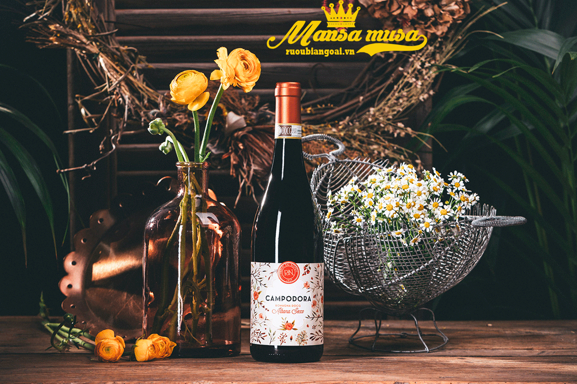 Rượu Vang Ý Campodora Romagna Albana Secco