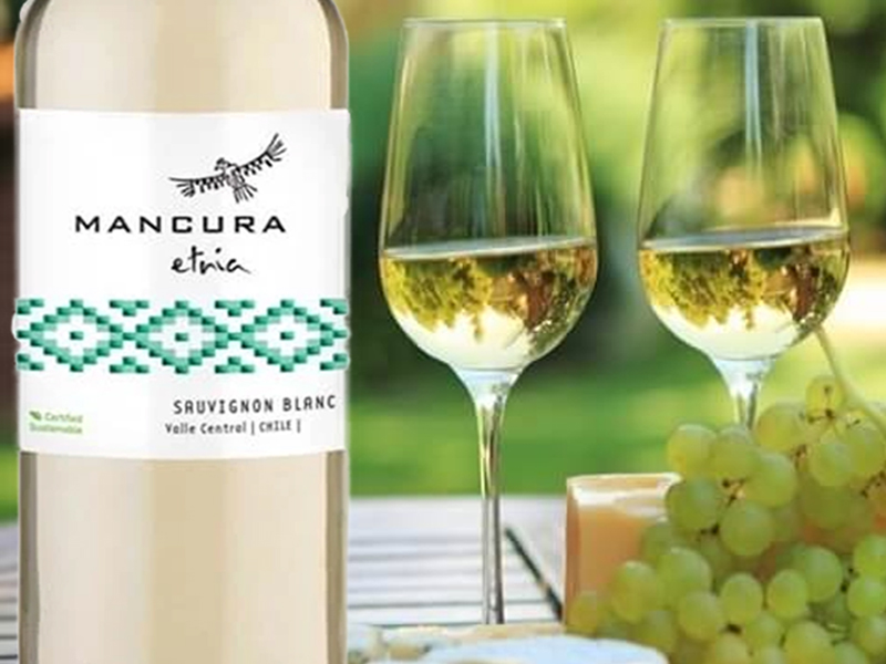 rượu vang mancura etnia sauvignon blanc
