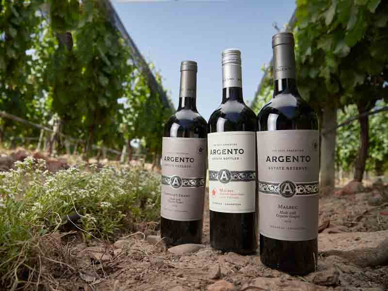 rượu vang argento estate reserve malbec mendozarượu vang argento estate reserve malbec mendoza