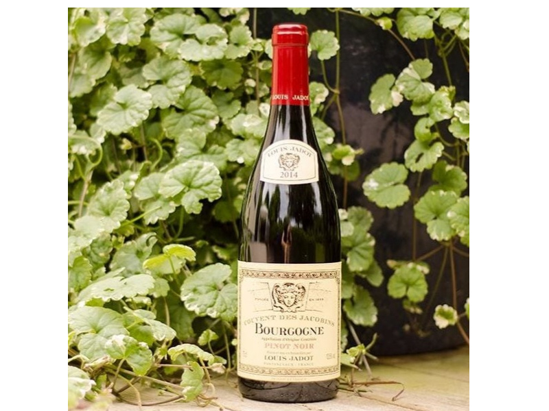 rượu vang louis jadot bourgogne pinot noir couvent des jacobins